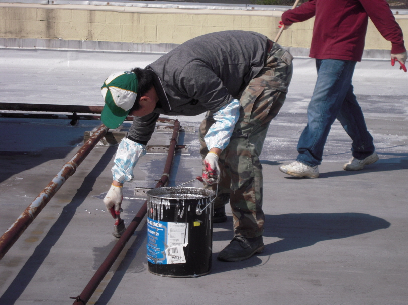 Resized_va roof 013.jpg